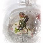 139341 Edelglasflasche mit Hexe und Obstwasser