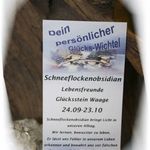 136373 Edelstein-Wichtel "Schneeflockenobsidian" Waage