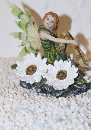 138160 Elfe "Genua" auf Margeriten