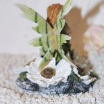 138160 Elfe "Genua" auf Margeriten