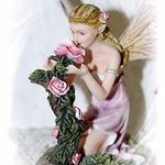 139635 Elfe "Insel Mainau" mit Rosen