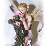 139635 Elfe "Insel Mainau" mit Rosen