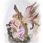 139635 Elfe "Insel Mainau" mit Rosen