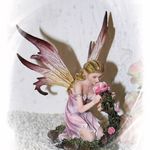 139635 Elfe "Insel Mainau" mit Rosen