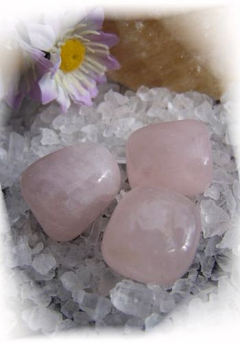 133946 Handschmeichler Rosenquarz