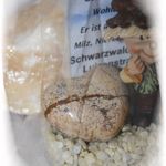 136638 Herzwichtele Zwilling