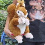 134421 Schwarzwald-Eichhörnle "Puschl"