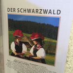 135338 Schwarzwaldführer deutsch