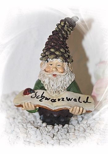 140475 Schwarzwaldzwerg "Triberg"