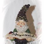 140475 Schwarzwaldzwerg "Triberg"