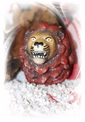 138385 Strassburg rote Löwen