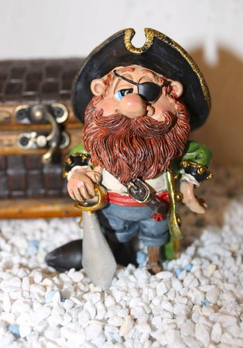 140083 Bodensee Pirat "Capitan Flint"