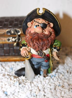Bodensee Pirat "Capitan Flint"