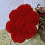 BH1000 Bollenhut "Gutach" 21cm