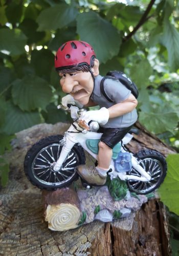 LA 10009 Mountainbiker