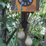 VH1001 Vogelhaus "Schwarzwald" braun