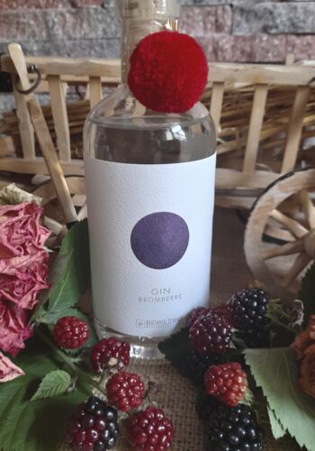 G1000 Schwarzwald Gin Brombeere