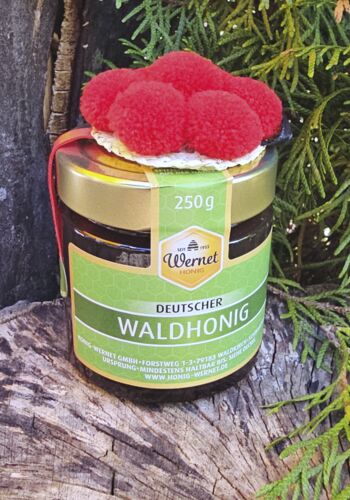 H1009 Waldhonig 250gr mit Bollenhut 5cm
