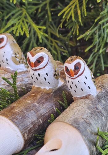 KP1003 Kuckuckspfeife Eule