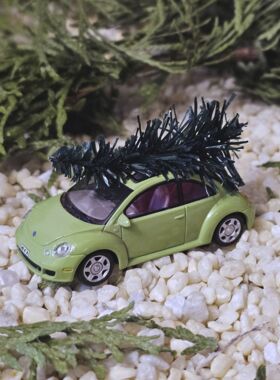 VW Beetl mit Weihnachtsbaum