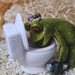 GLF2024 Glücksfrosch After Party-Frosch