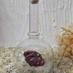 GLF1053 Edelglasflasche mit Porsche Cayman