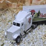 MFZ1008 US-Truck weiß Schwarzwald