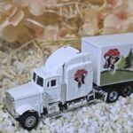 MFZ1008 US-Truck weiß Schwarzwald