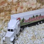 MFZ1008 US-Truck weiß Schwarzwald