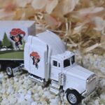 MFZ1008 US-Truck weiß Schwarzwald