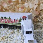 MFZ1008 US-Truck weiß Schwarzwald