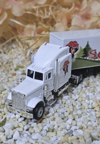 MFZ1008 US-Truck weiß Schwarzwald