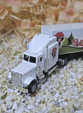 US-Truck weiß Schwarzwald