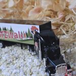 MFZ1009 US-Truck schwarz Schwarzwald