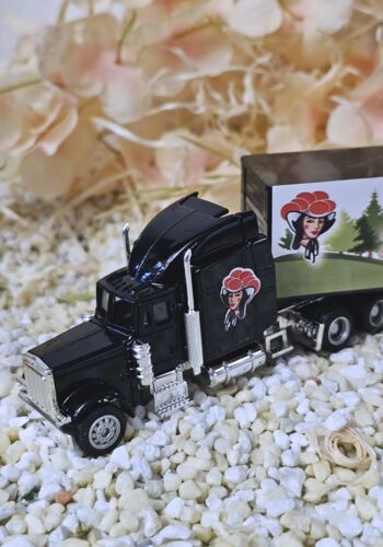 MFZ1009 US-Truck schwarz Schwarzwald