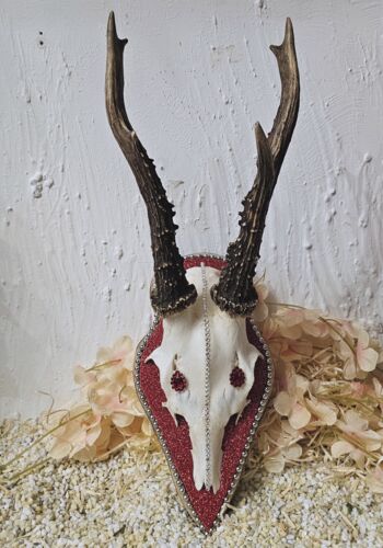 RHÖ1003 Rehhörnle Baden-Baden