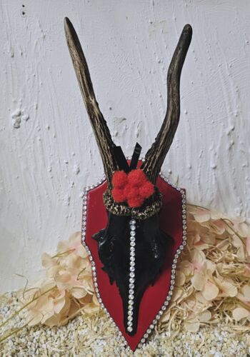 RHÖ1004 Rehhörnle "Todtnau