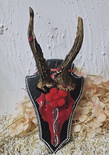 RHÖ1005 Rehhörnle "Freiburg