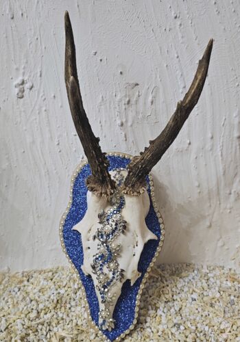 RHÖ1006 Rehhörnle Villingen