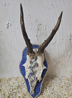 Rehhörnle Villingen