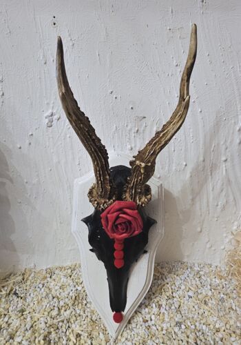 RHÖ1007 Rehhörnle "Balingen"