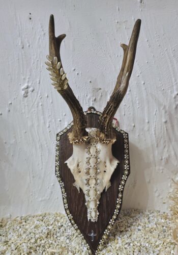 RHÖ1009 Rehhörnle "Hinterzarten"