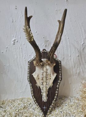 Rehhörnle "Hinterzarten"