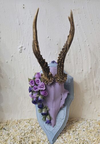 RHÖ1010 Rehhörnle "Brigach"