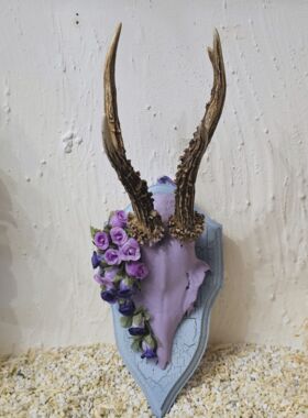 Rehhörnle "Brigach"