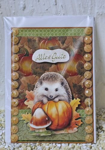 HK10005 Designerkarte mit Igel 5