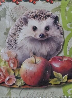Designerkarte mit Igel 9