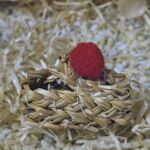 STS1000 Strohschuh Donaueschingen 5 cm