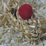 STS1000 Strohschuh Donaueschingen 5 cm