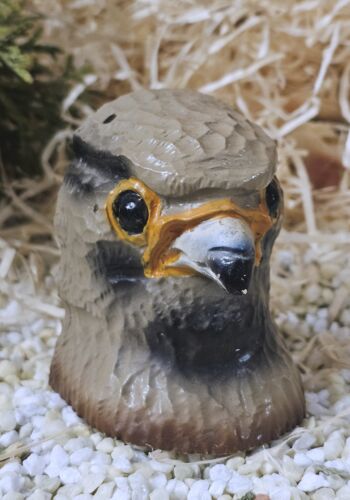 M&Auml;2119 Burgfalken Stassberg 1